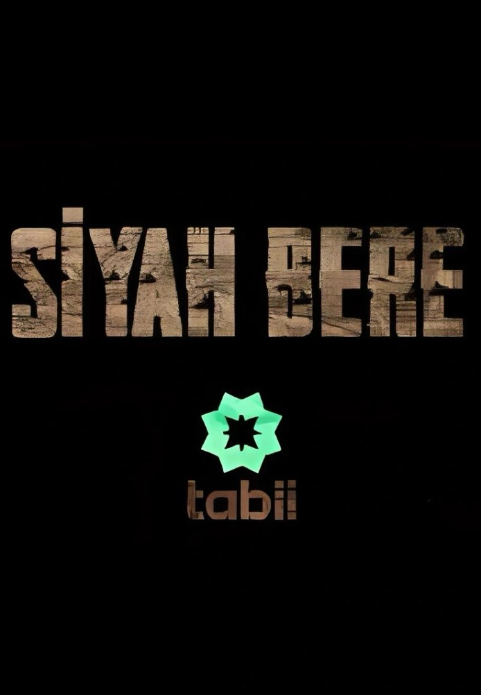 Турецкий сериал Чёрный берет