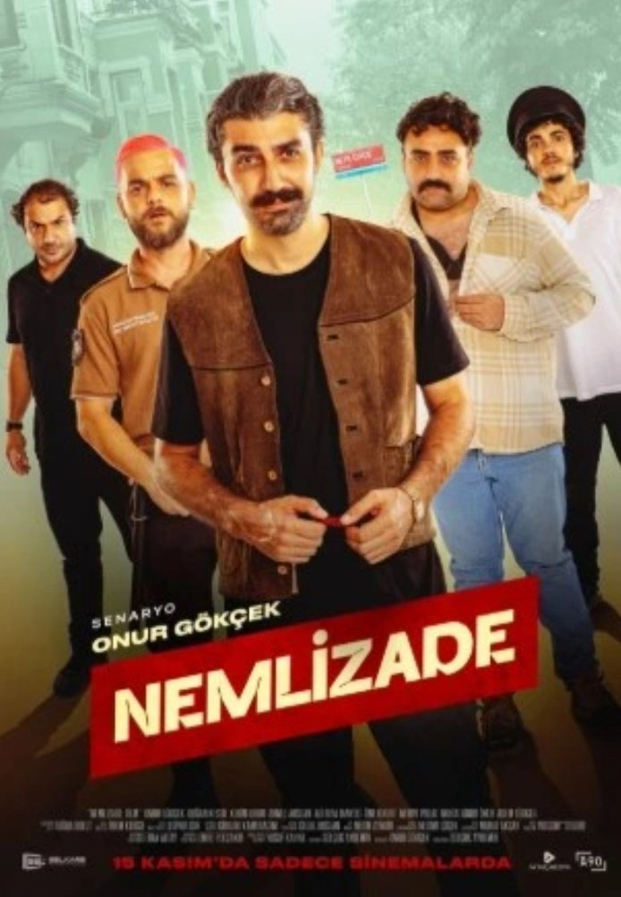 Турецкий сериал Немлизаде